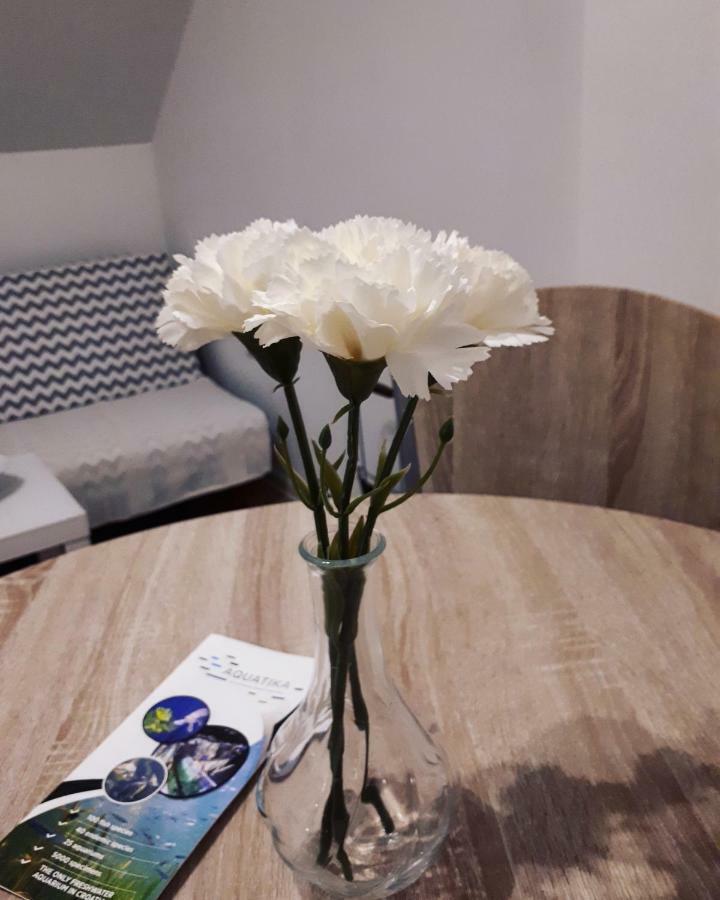 Apartman Lena Tusilovic Extérieur photo